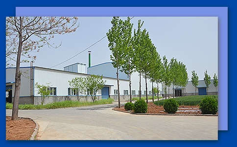 洛陽(yáng)通翔物流有限公司